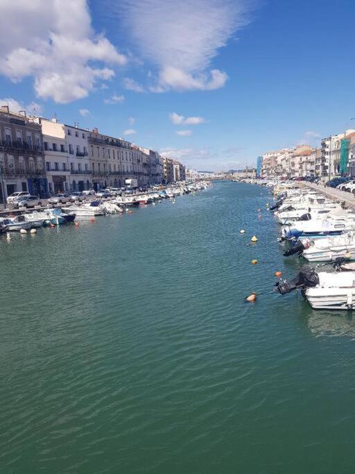 Nautilus Joli T3 Appartement Terrasse Climatisation Sete Bagian luar foto